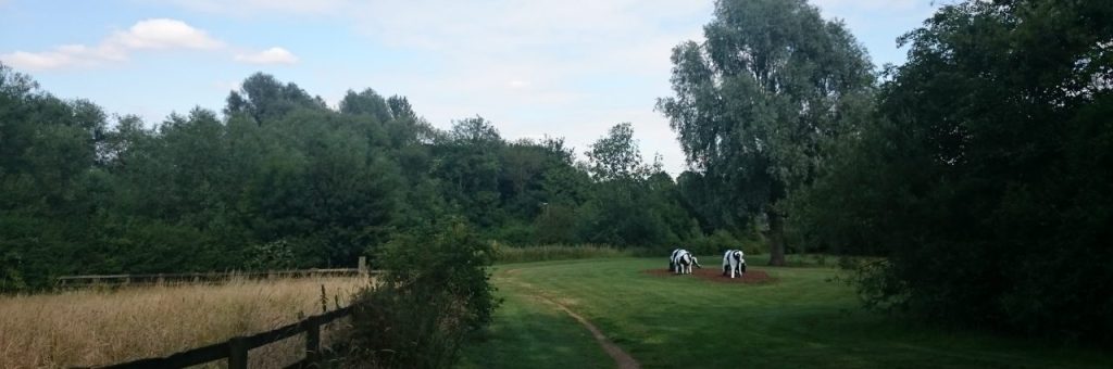 Liz Leyh, "Concrete Cows", 1978. Life sized sculptures of cows photographed in a field surrounded by trees. Photographed 2015.